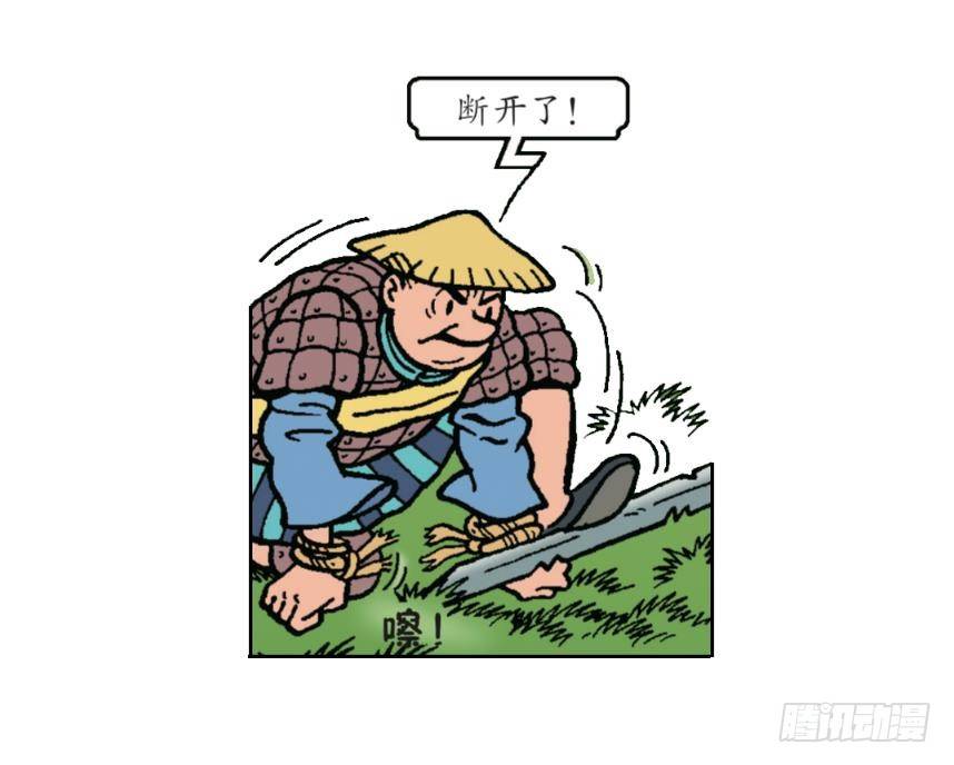24.jpg