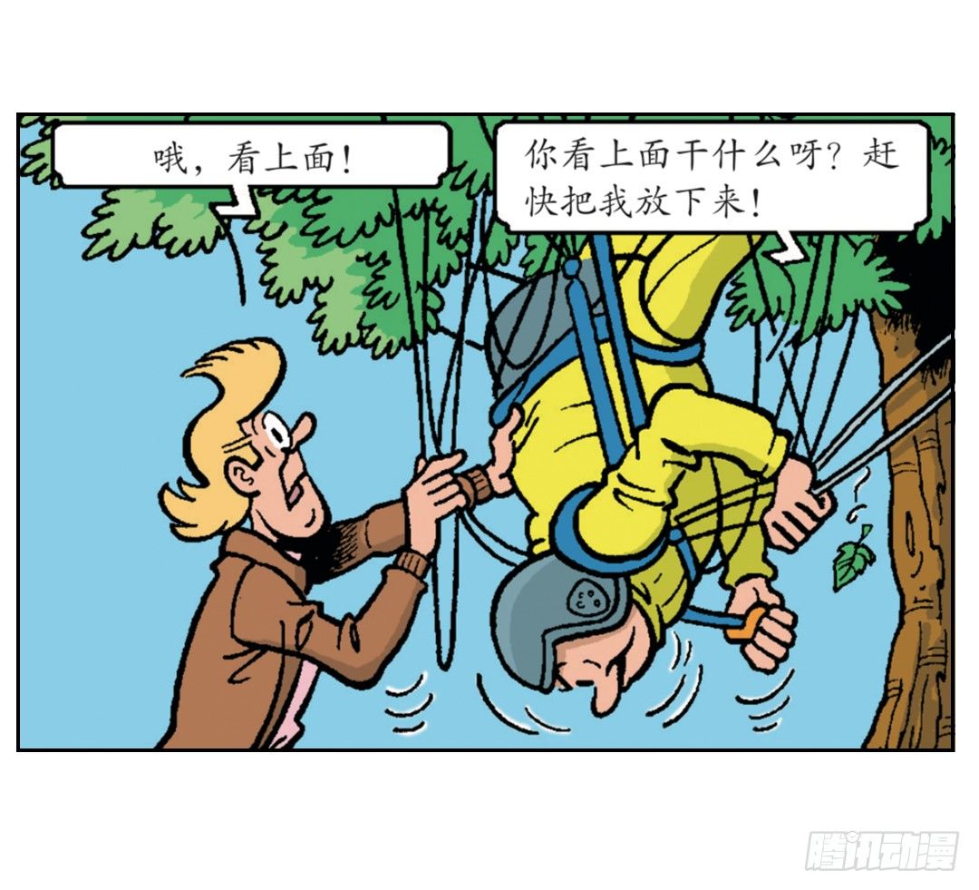 12.jpg