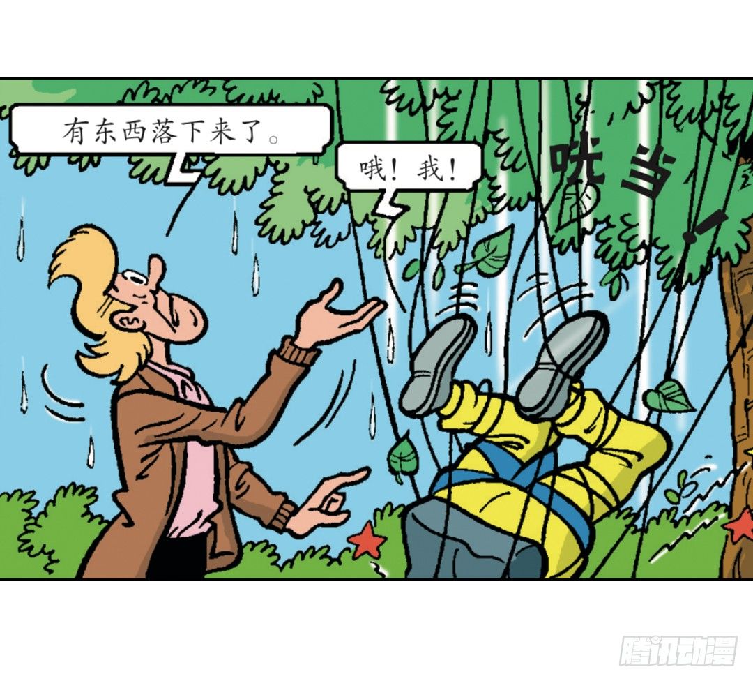 13.jpg