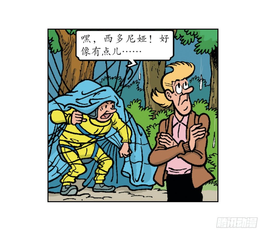 15.jpg