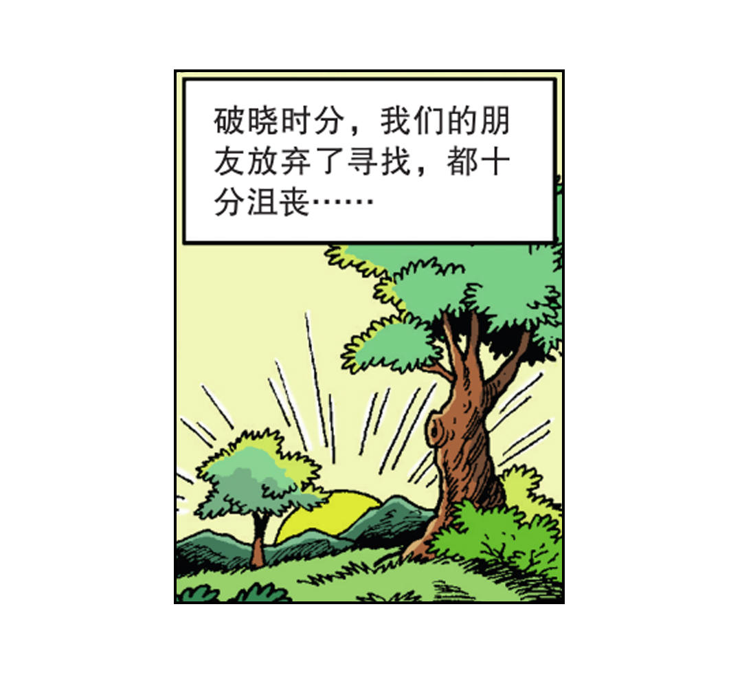 15.jpg
