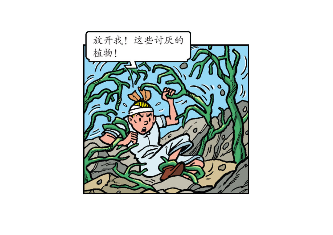 17.jpg