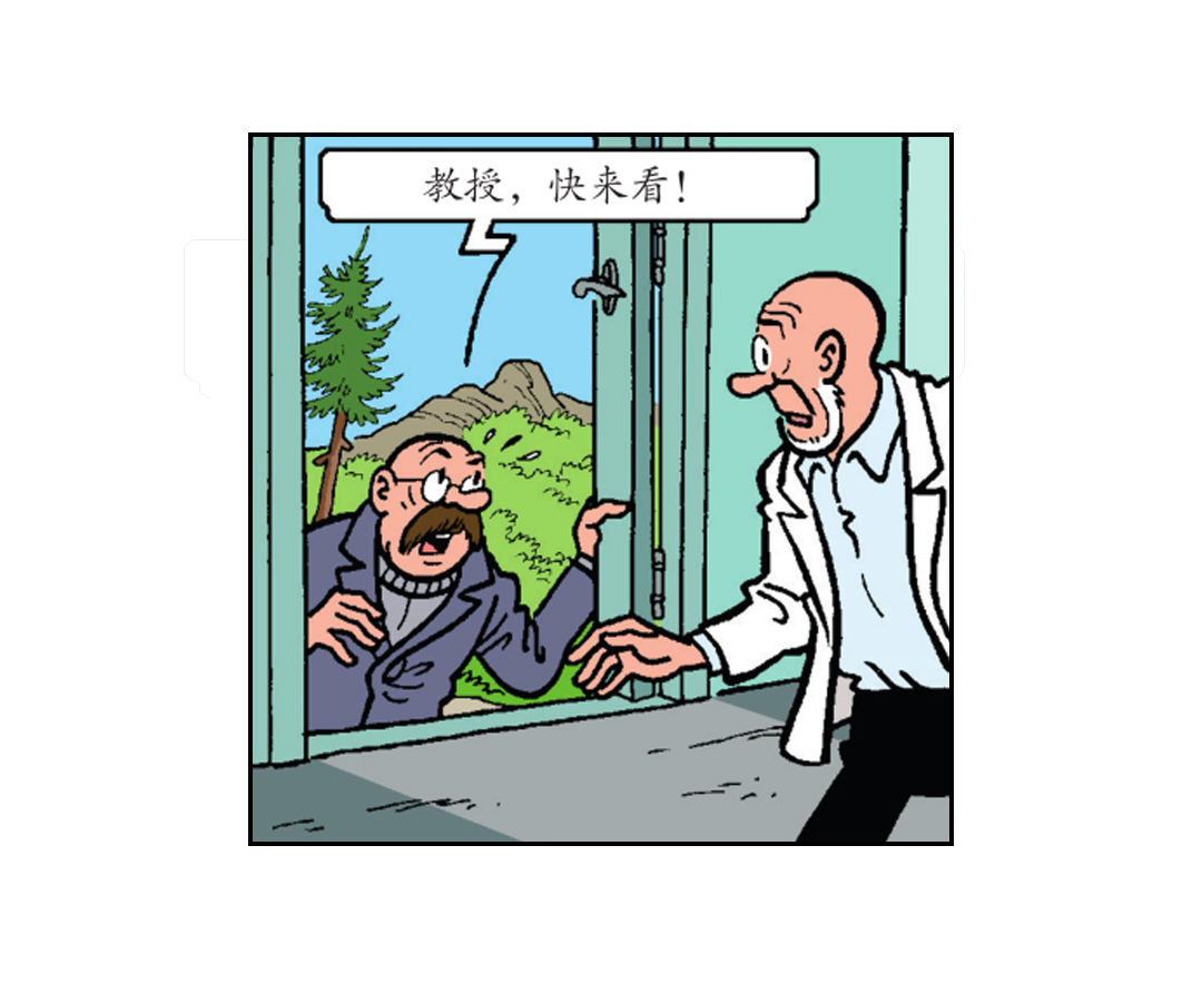 22.jpg