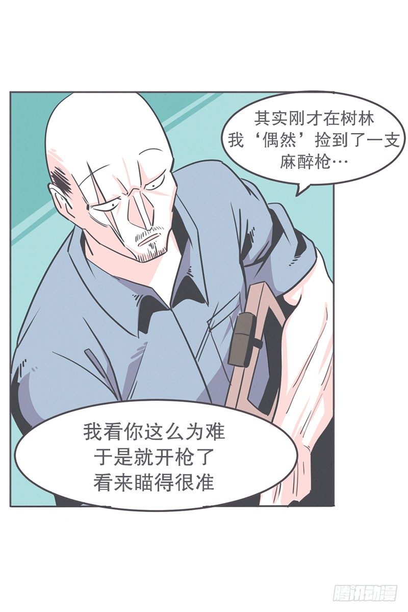 19.jpg