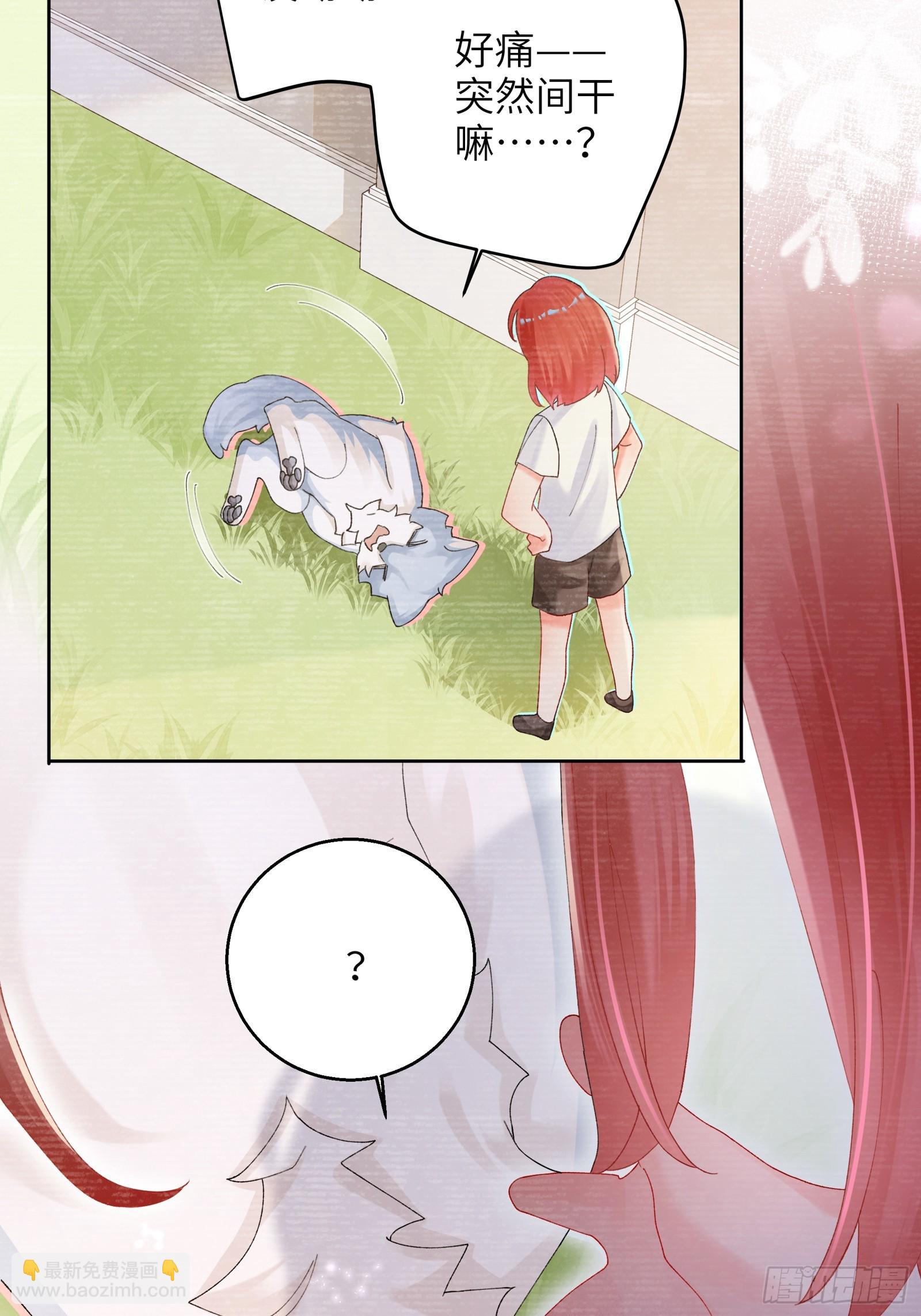 21.jpg