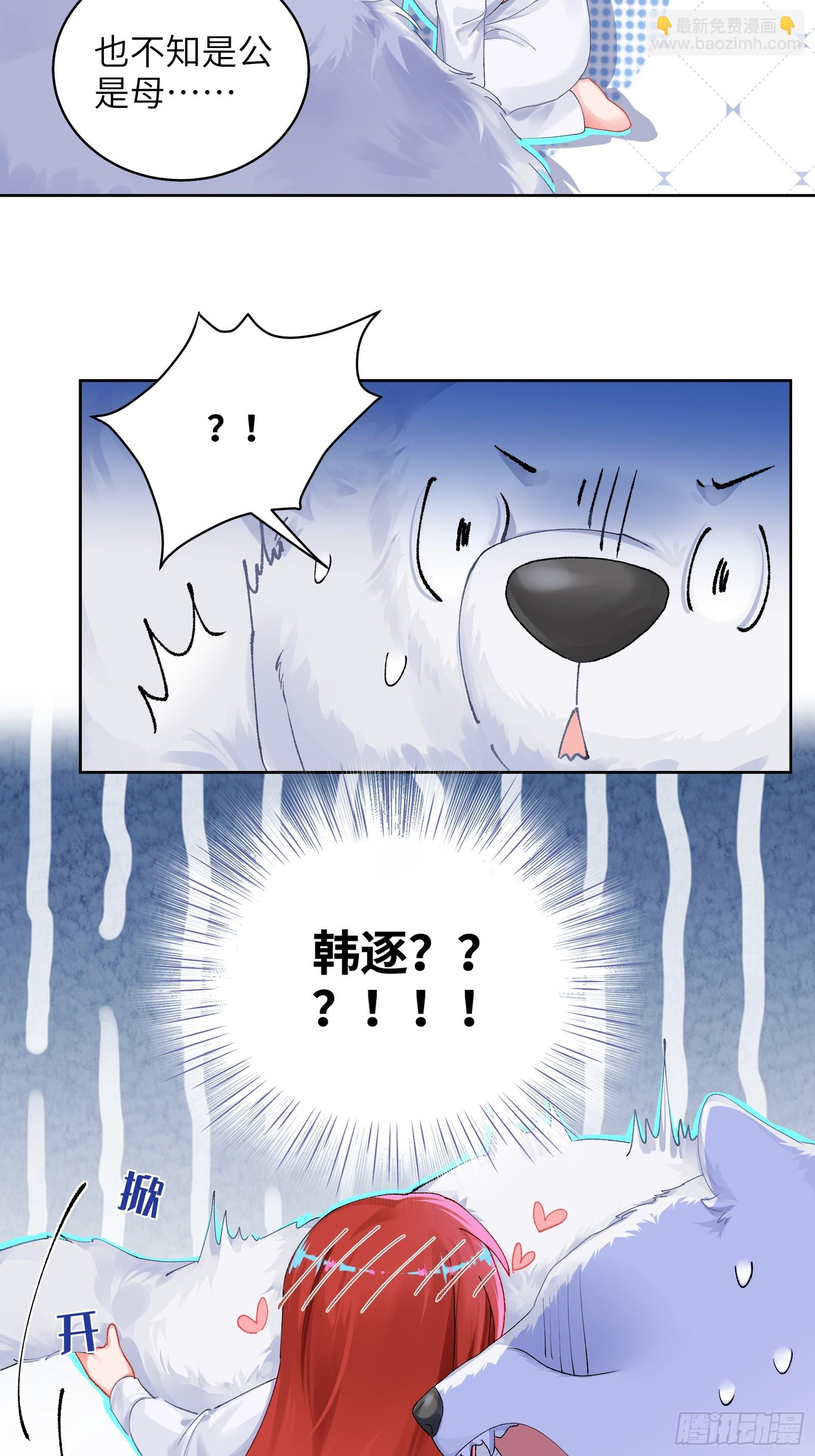20.jpg