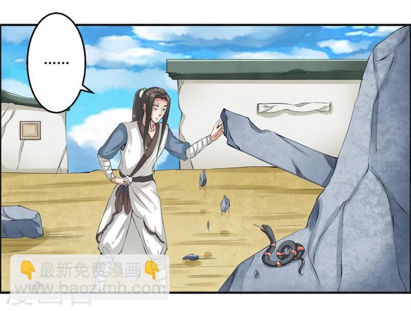 15.jpg
