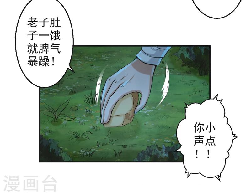 13.jpg