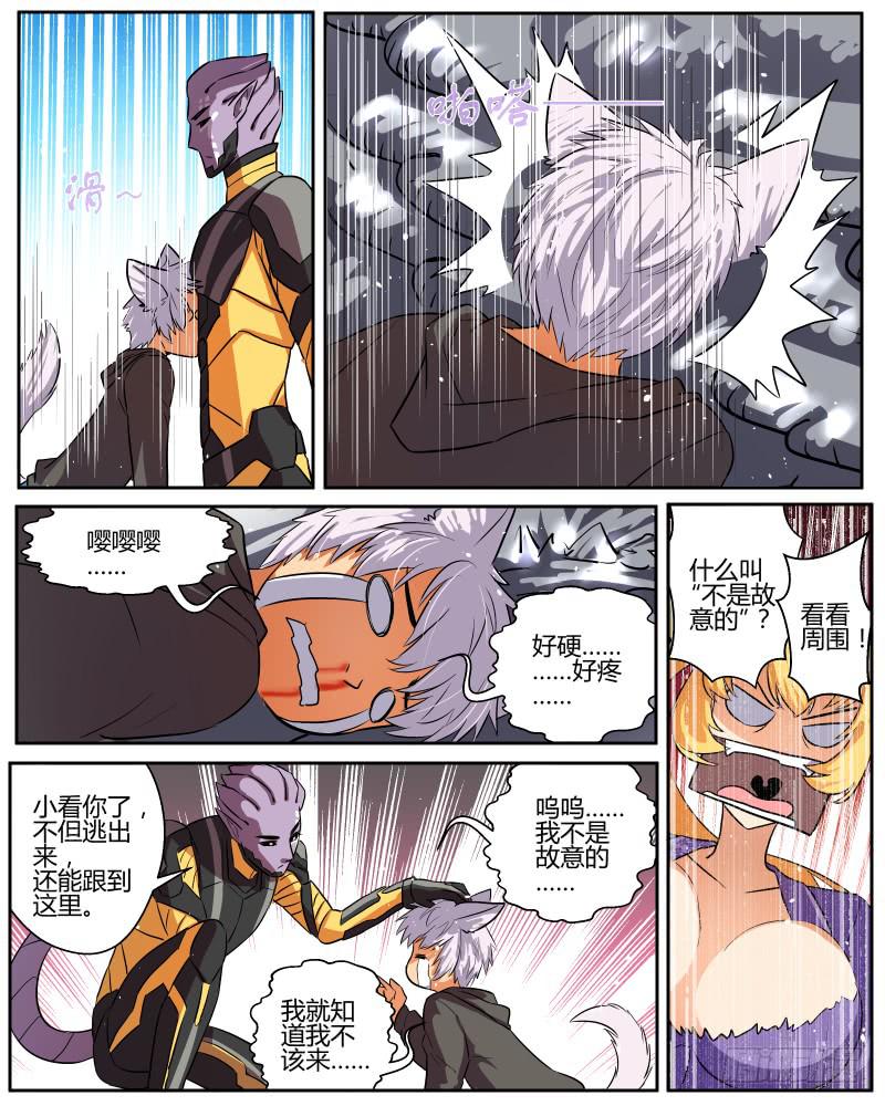 5.jpg