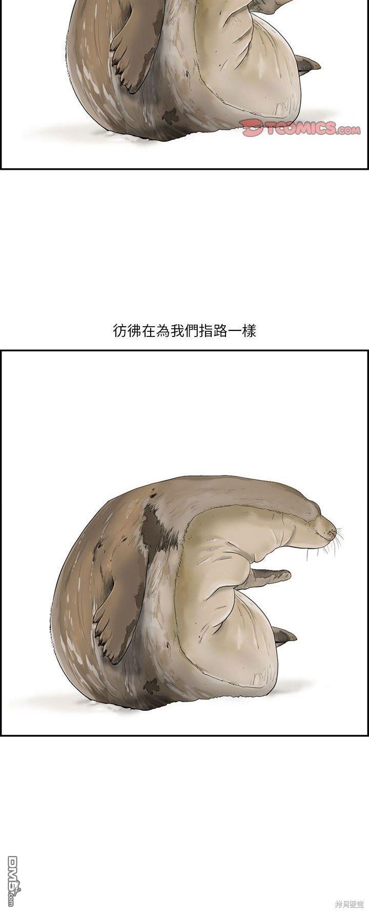 35.jpg