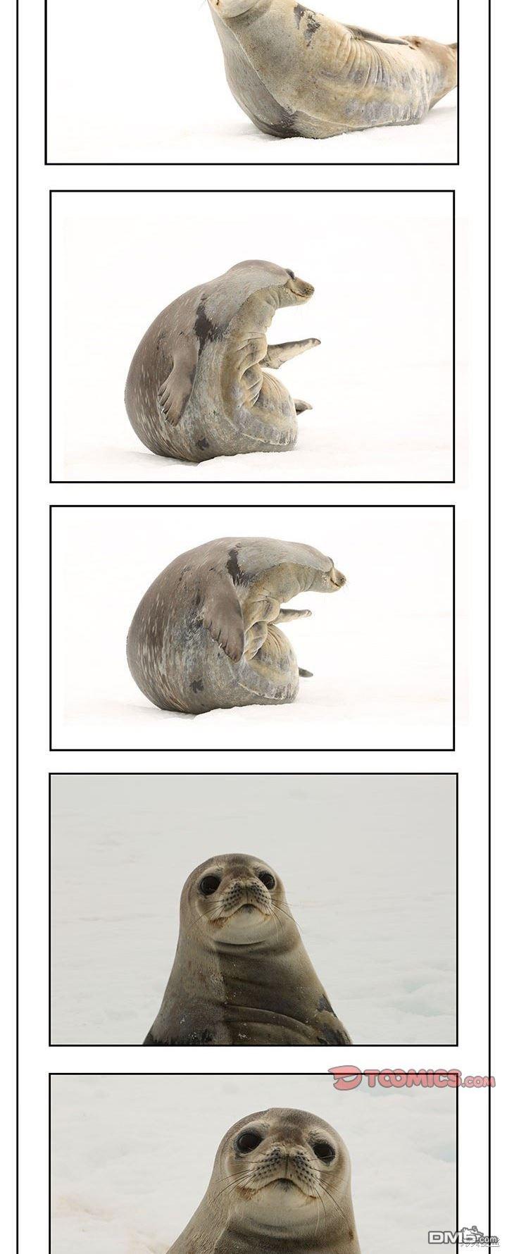 39.jpg