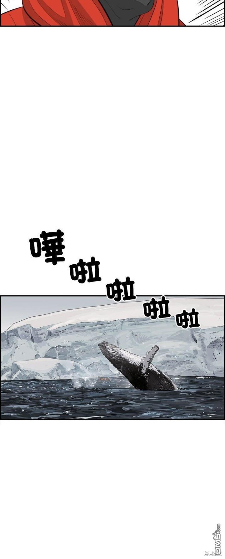 26.jpg
