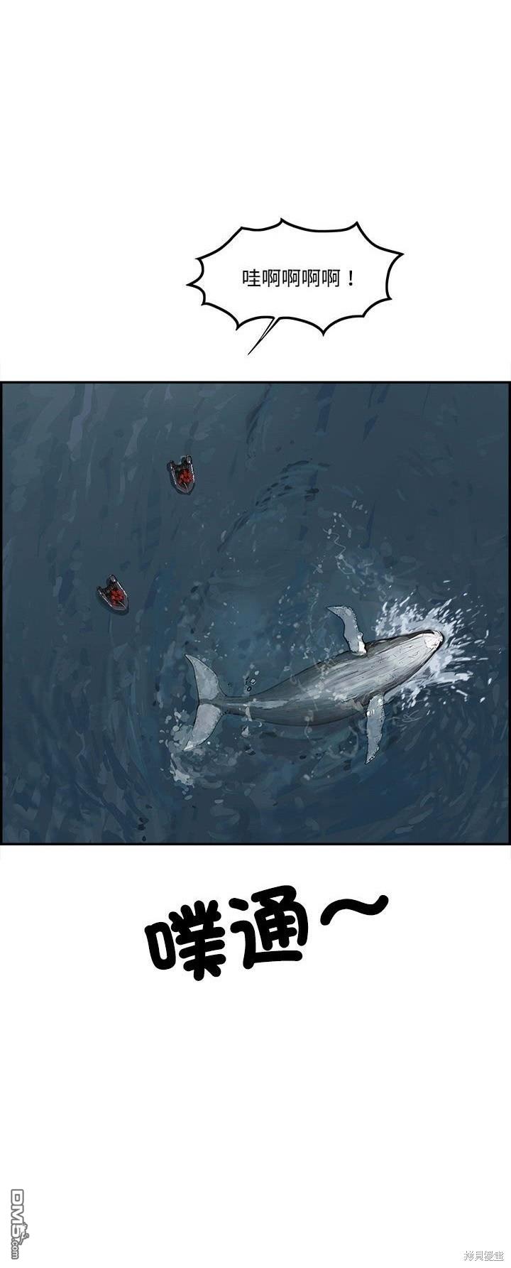 27.jpg