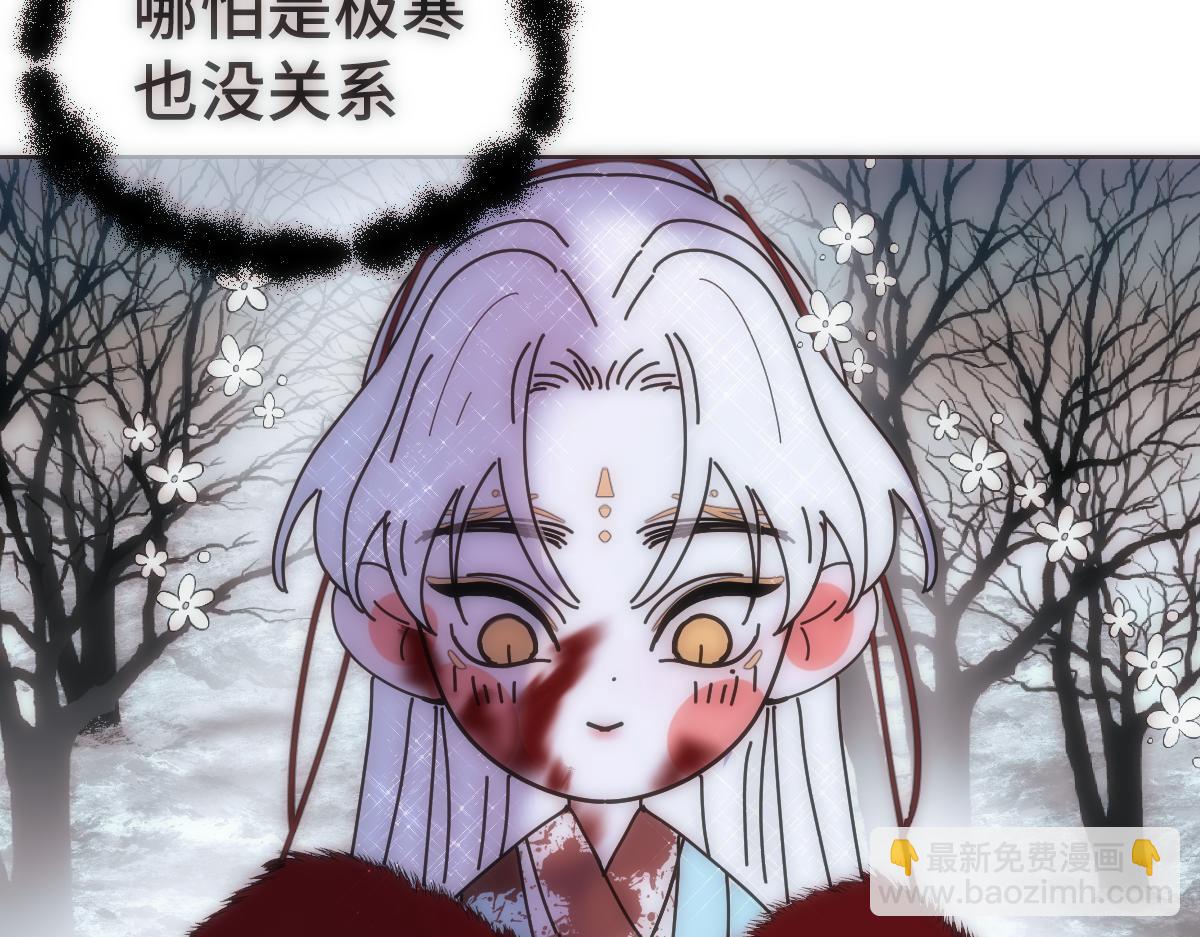 41.jpg