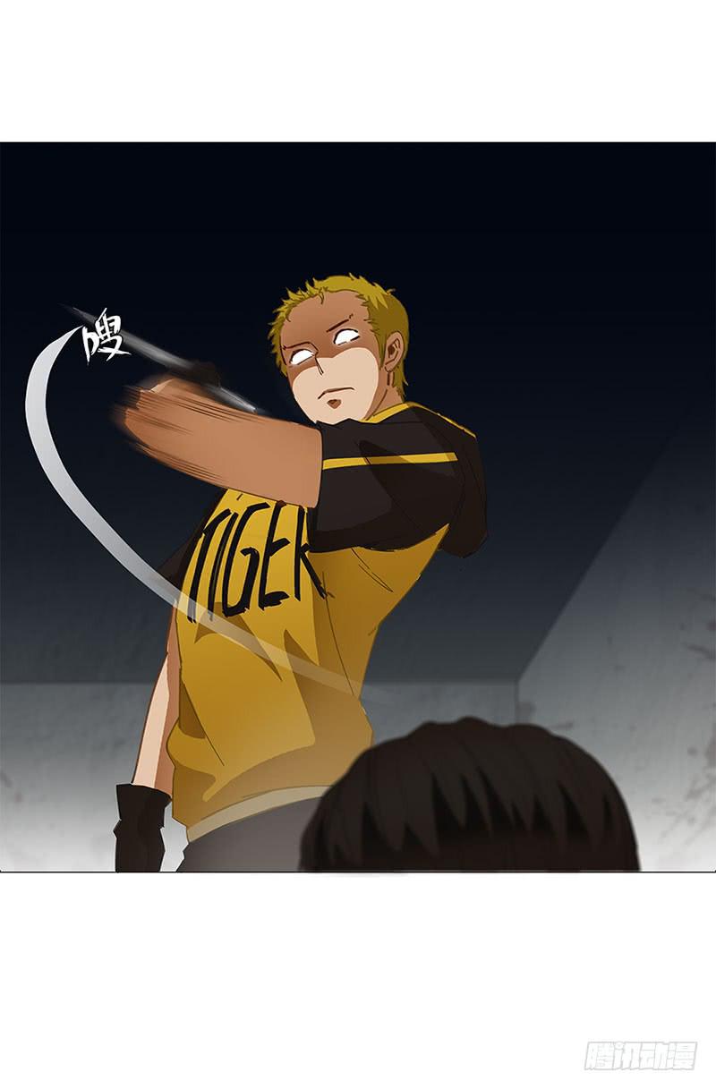 41.jpg