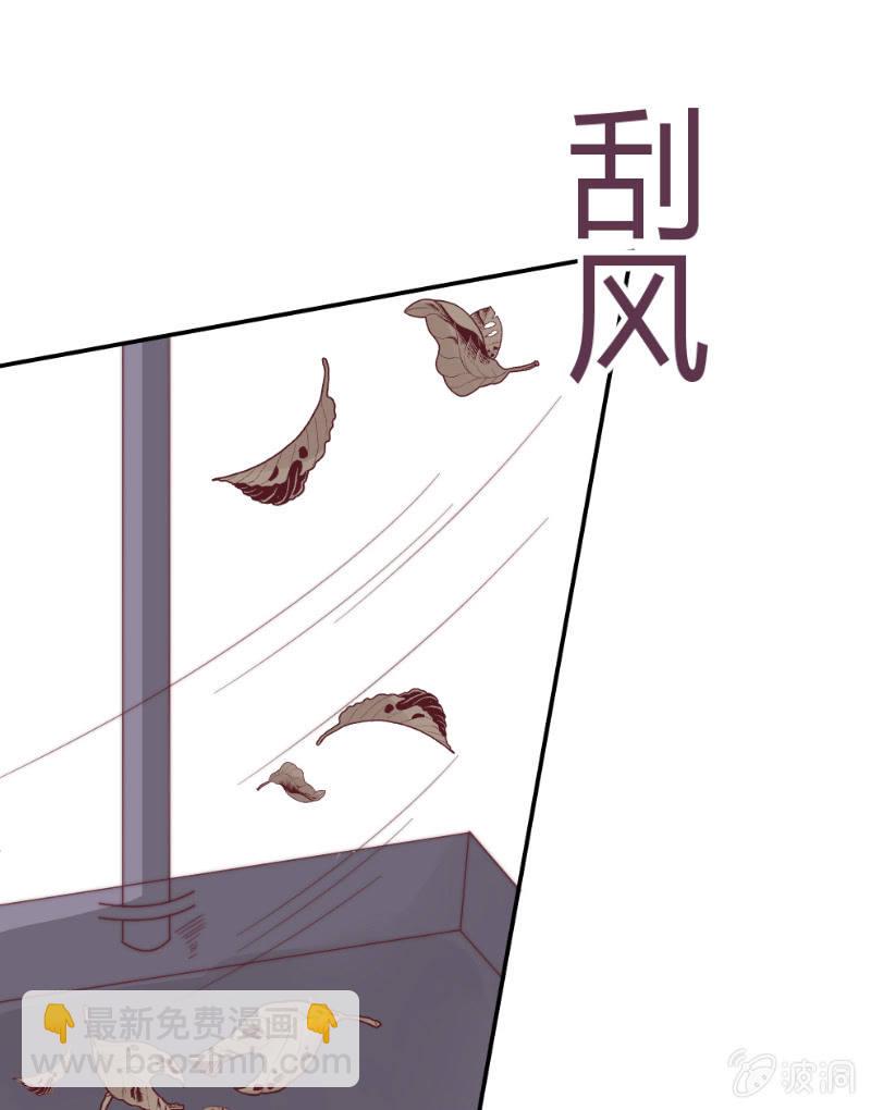 26.jpg