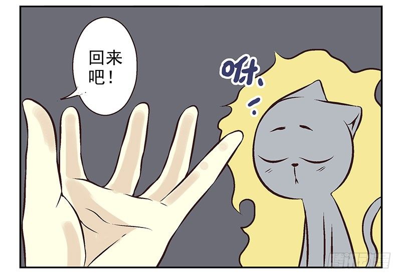 45.jpg