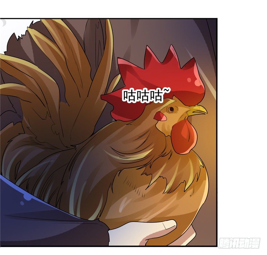 4.jpg