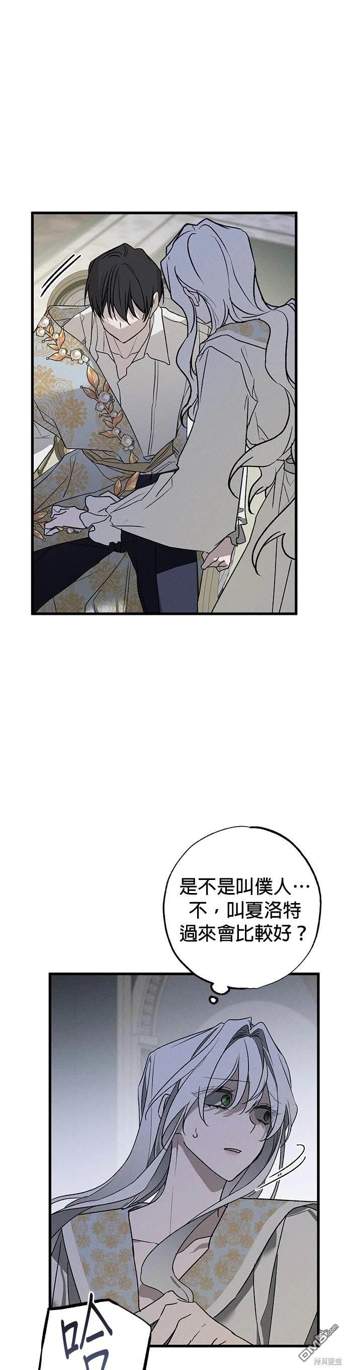41.jpg