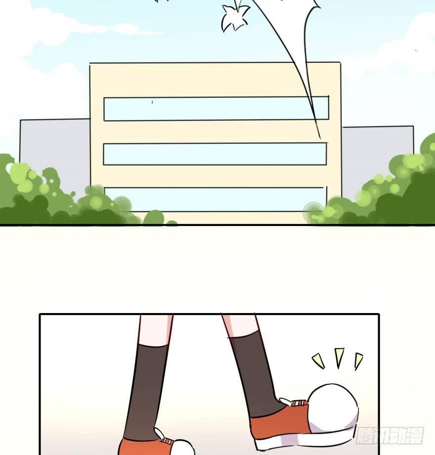 29.jpg
