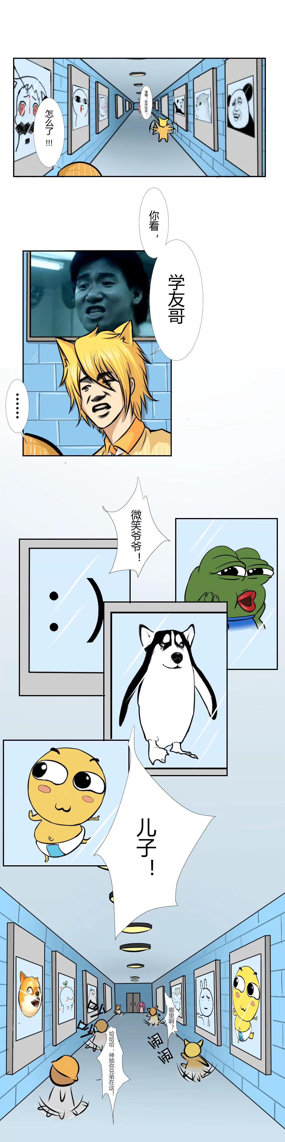 13.jpg