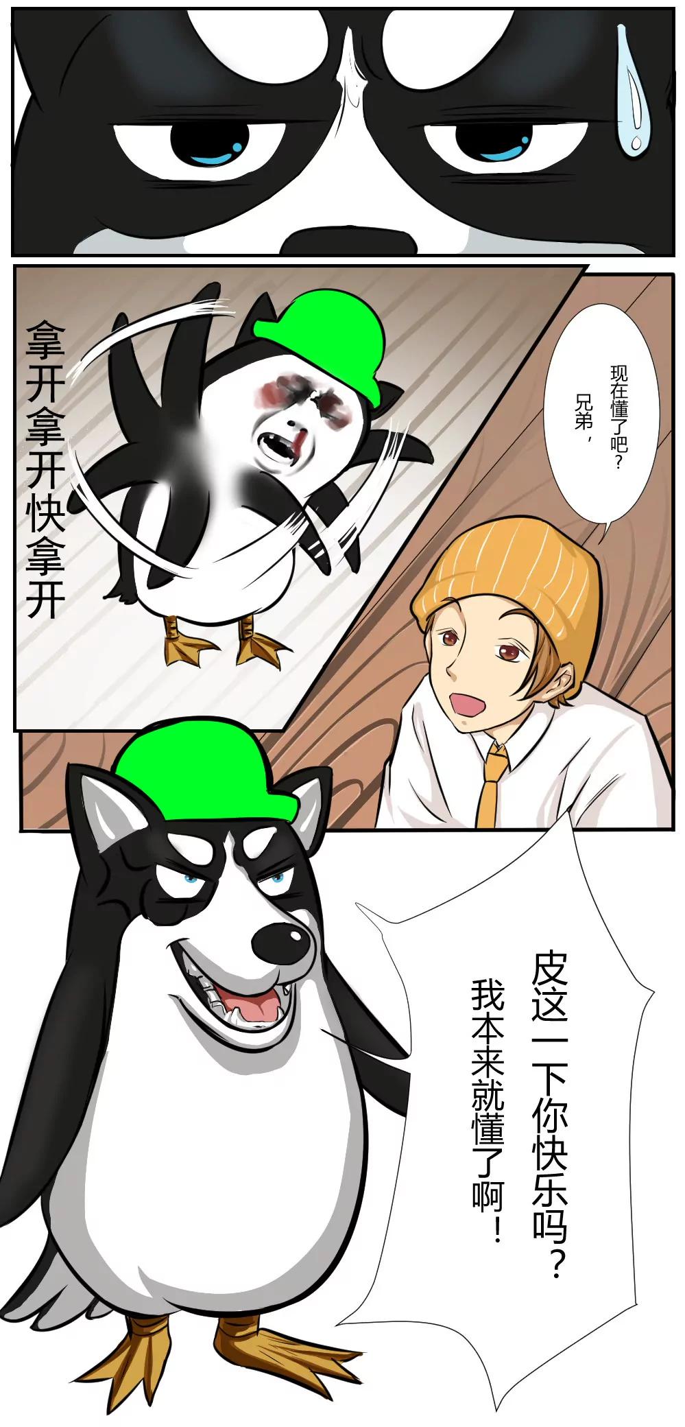 6.jpg
