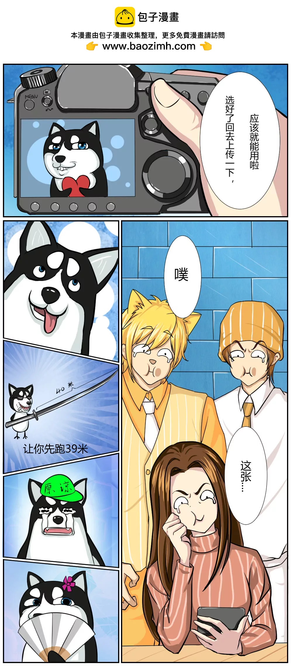 6.jpg