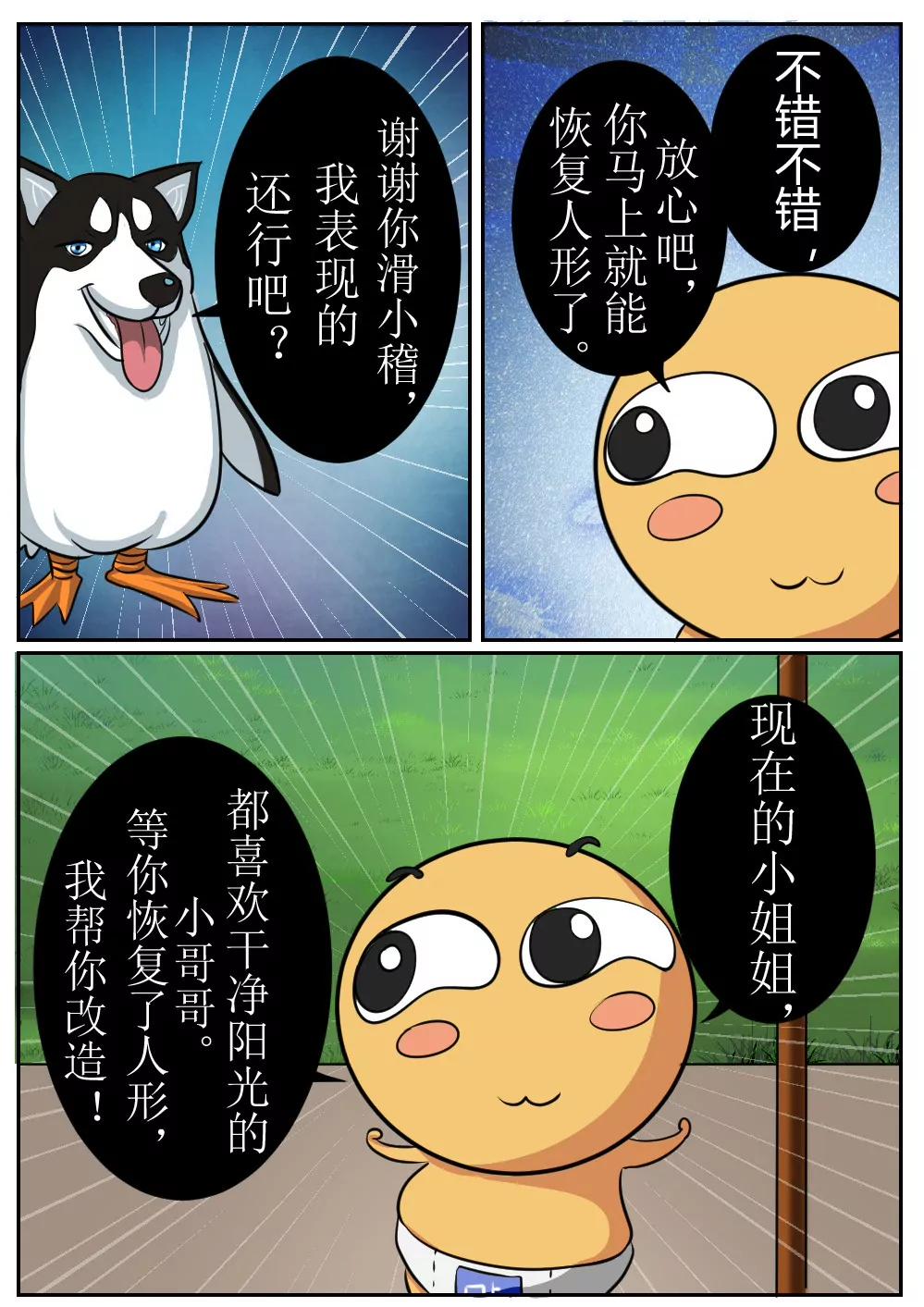 15.jpg