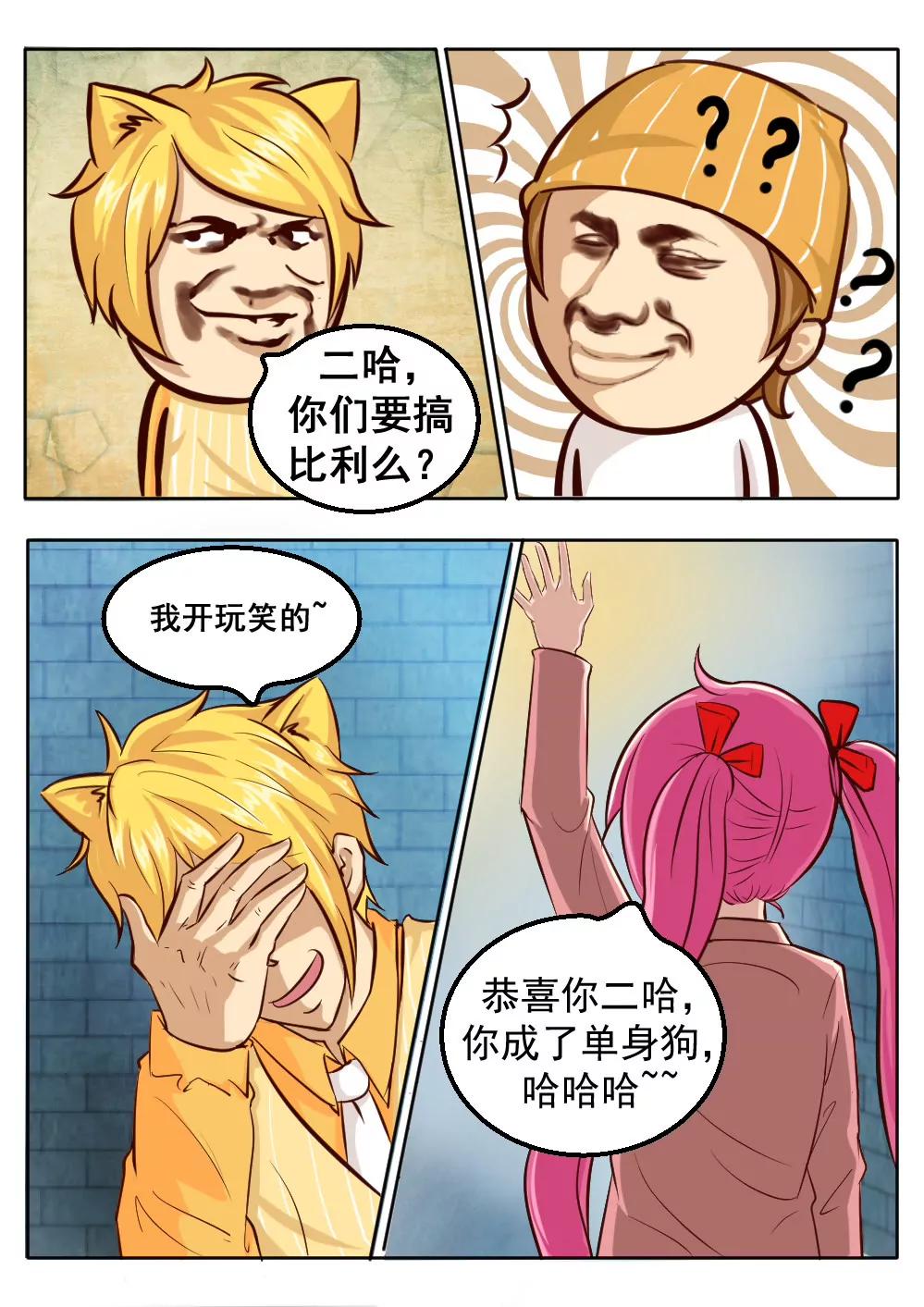 12.jpg