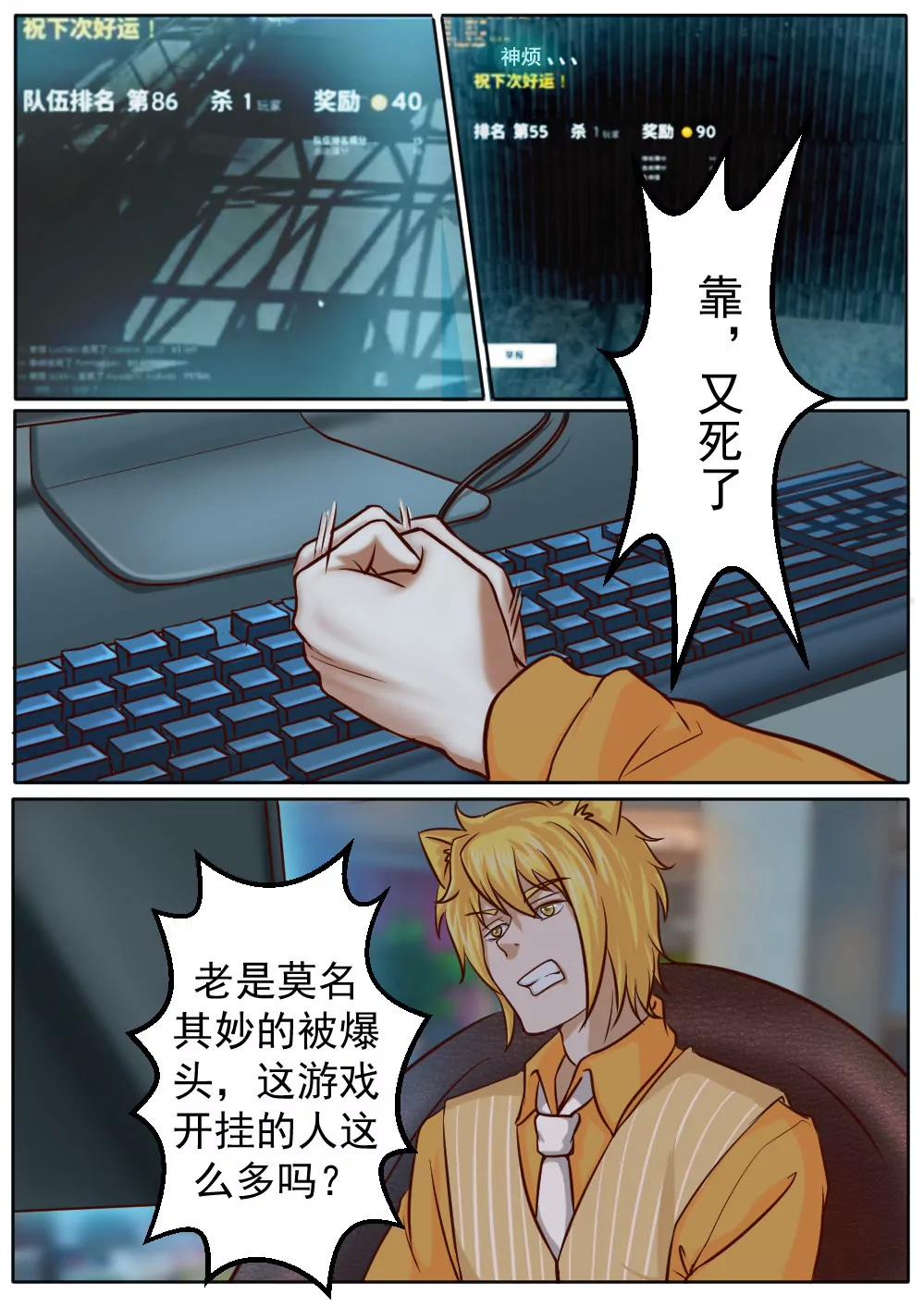 11.jpg