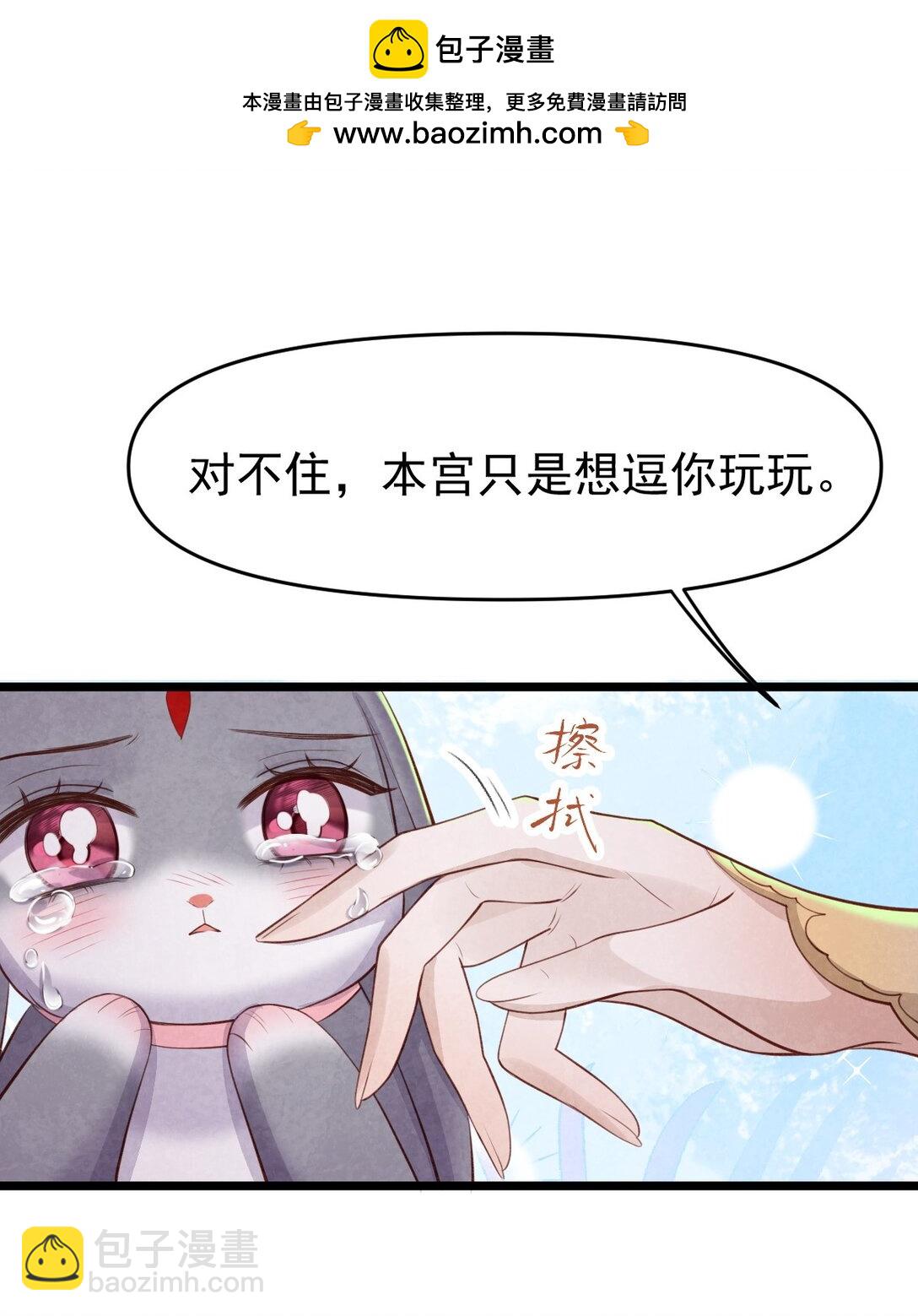 31.jpg