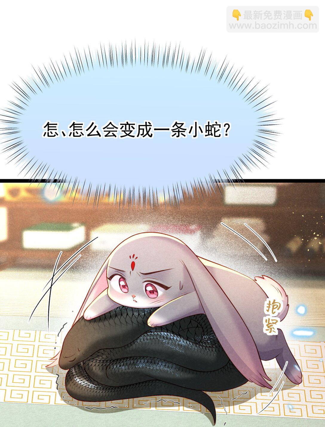 35.jpg