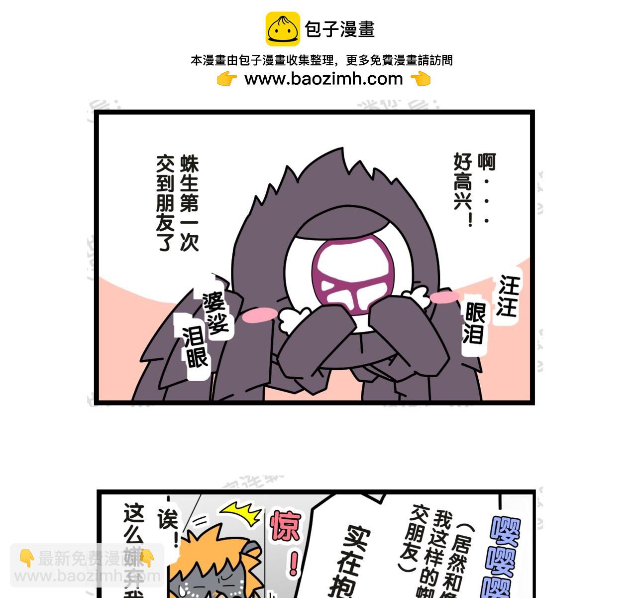11.jpg