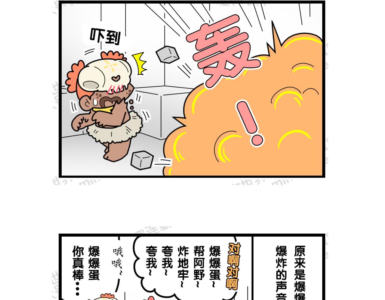11.jpg