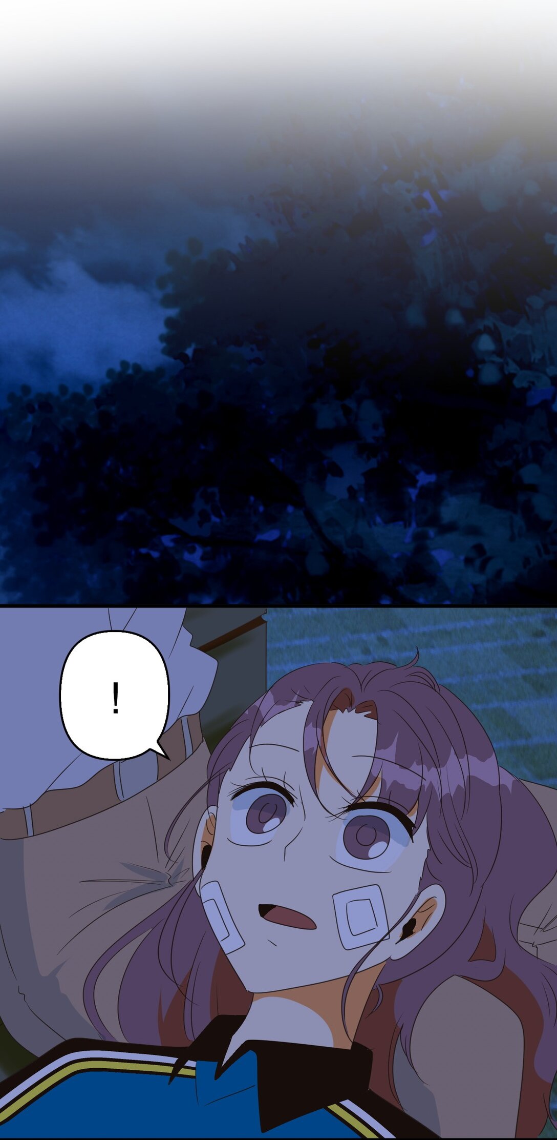 41.jpg