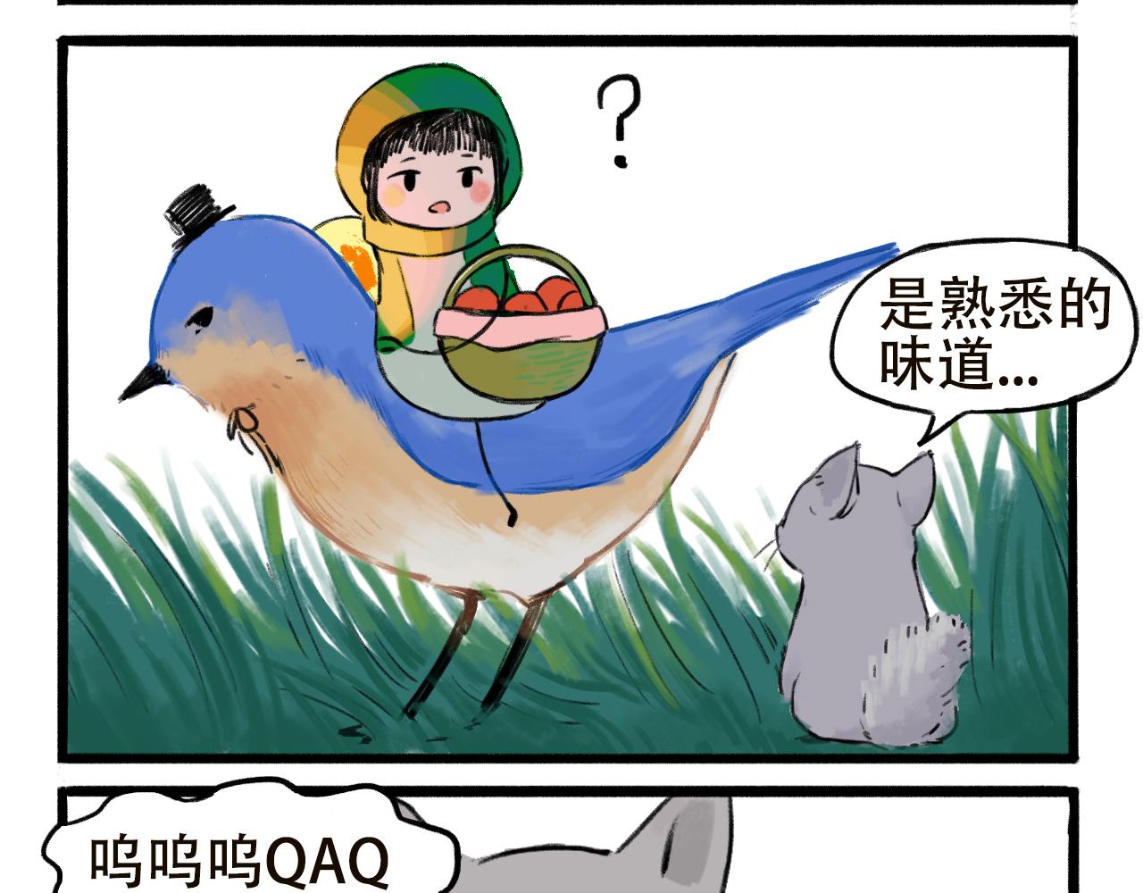 13.jpg