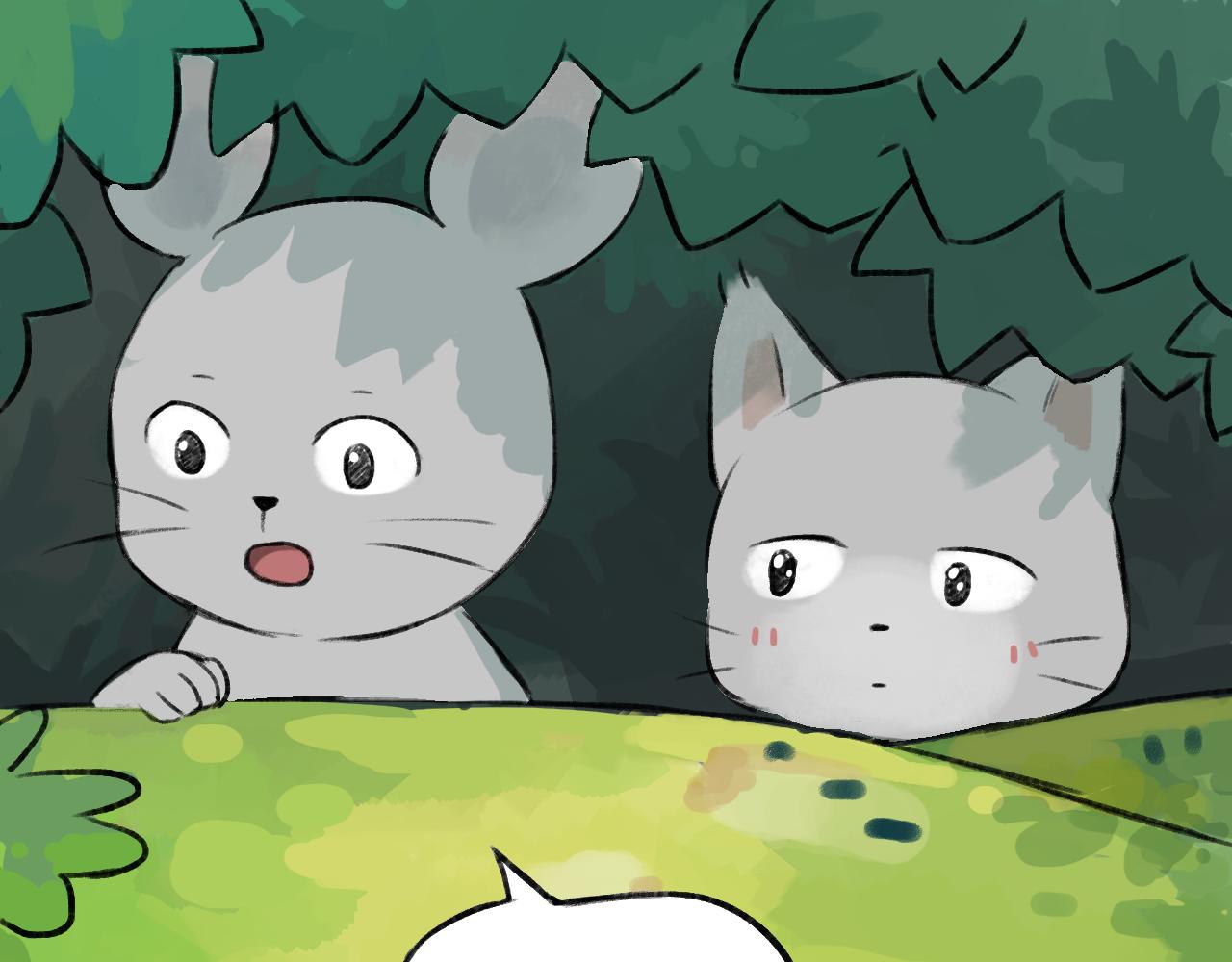 23.jpg