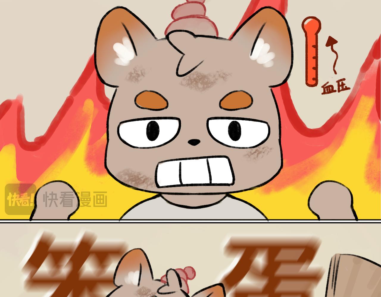 41.jpg