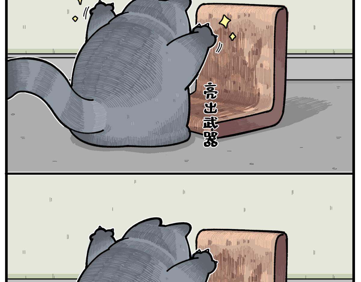 47.jpg