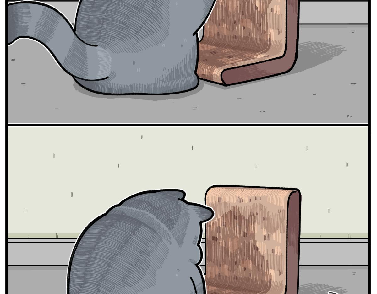 48.jpg