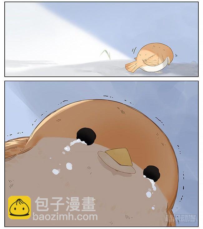 11.jpg