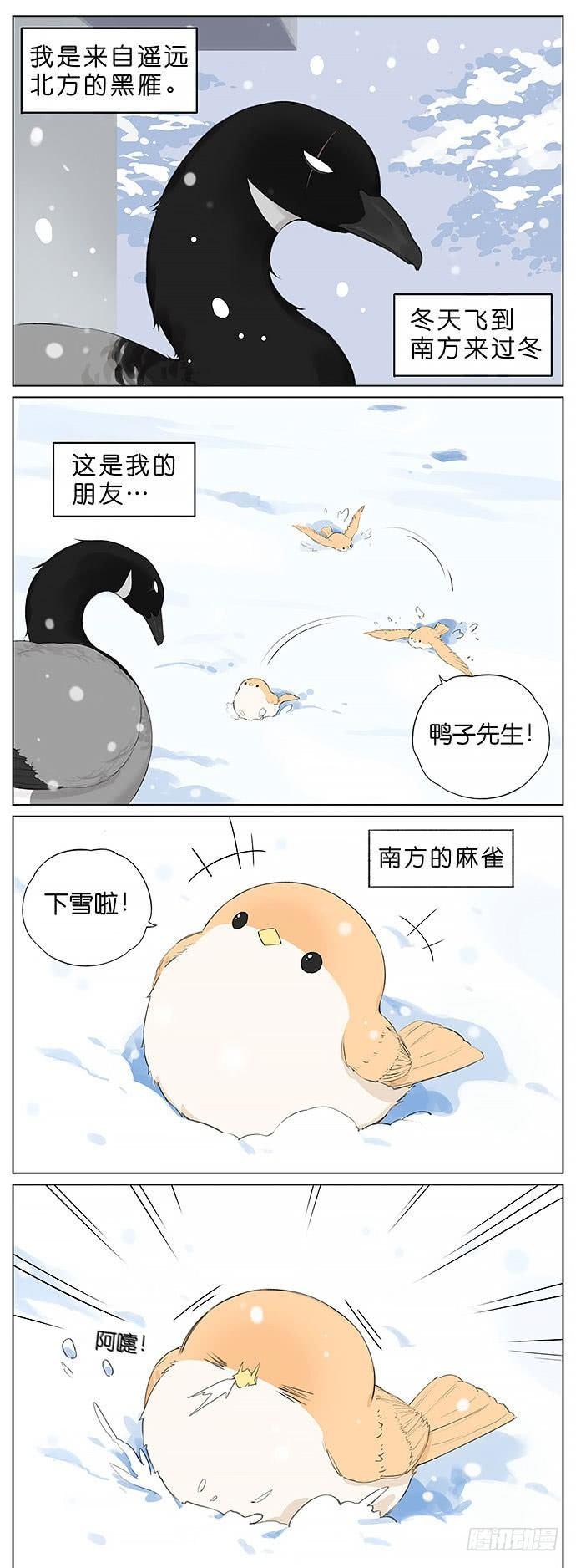 1.jpg