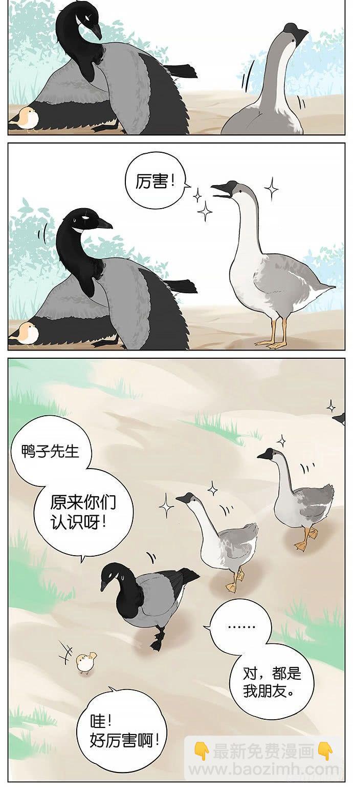 7.jpg