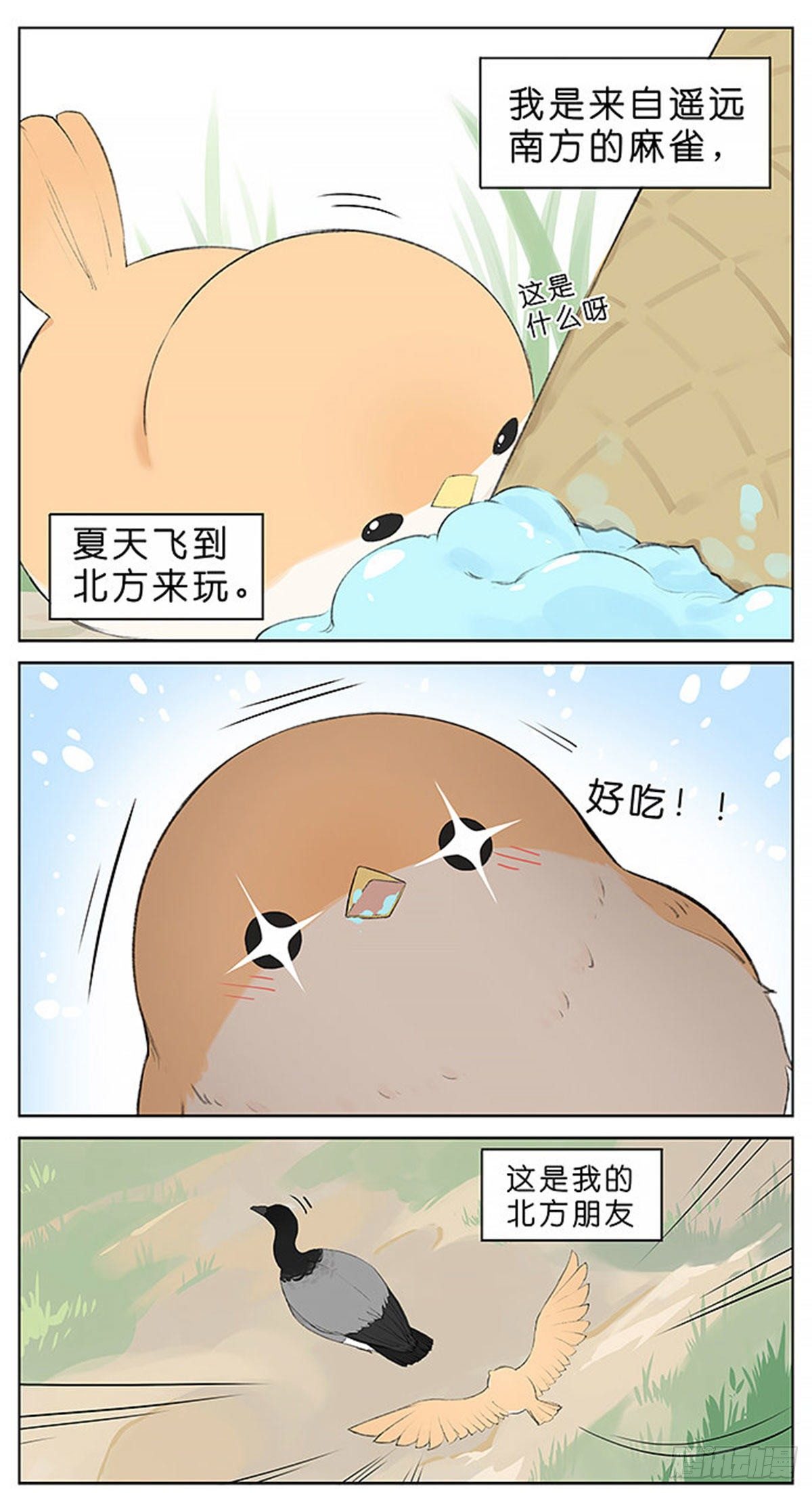 1.jpg