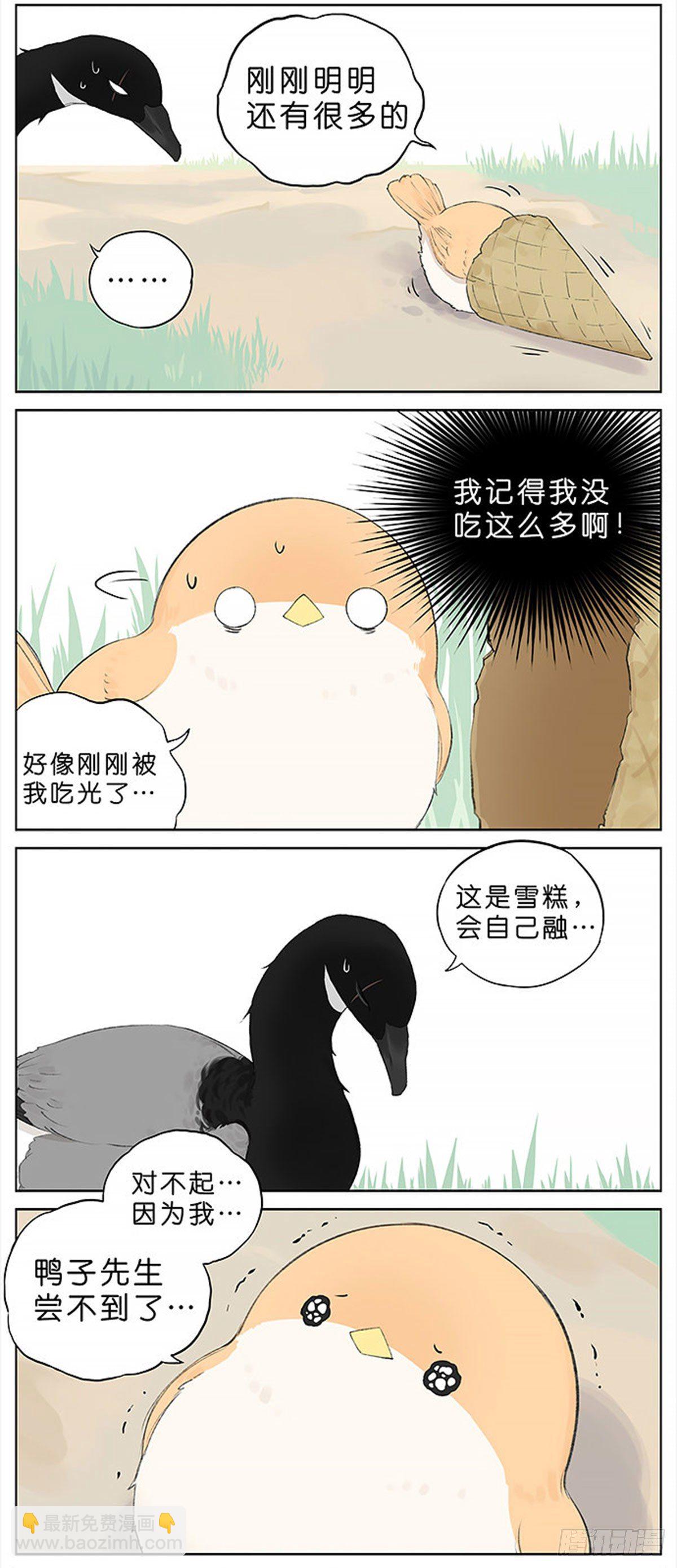 4.jpg