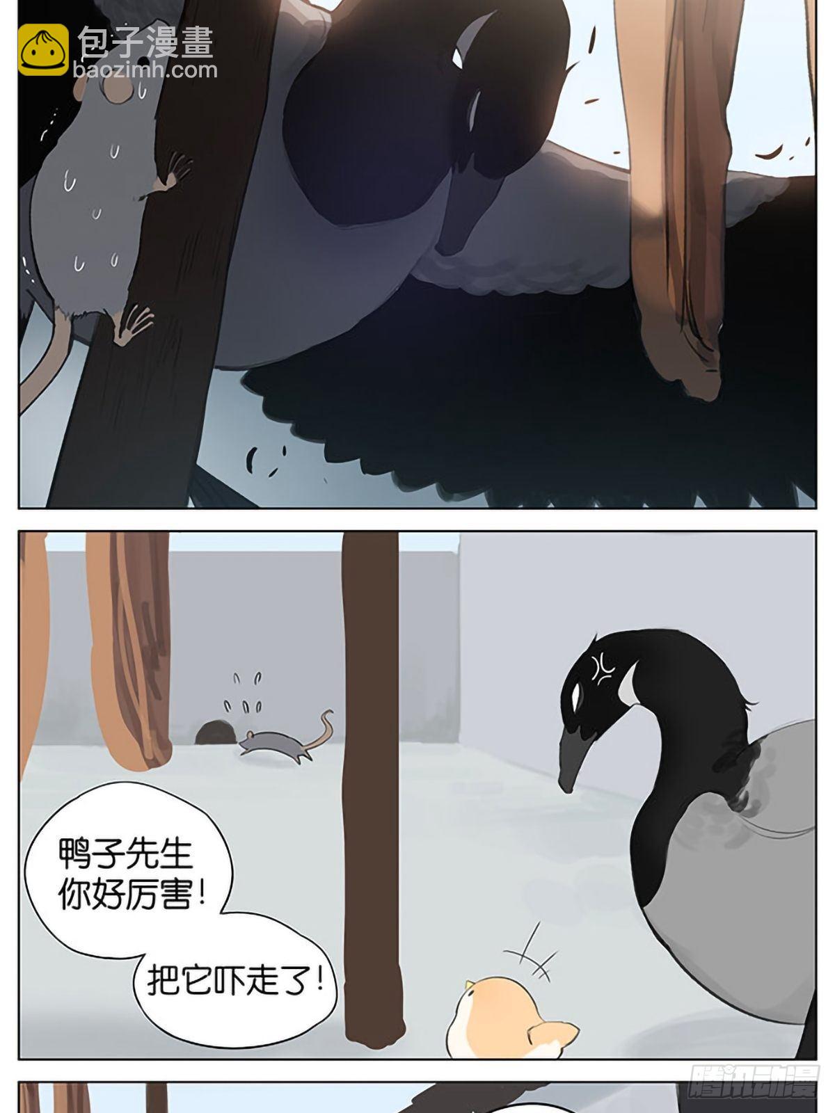 5.jpg