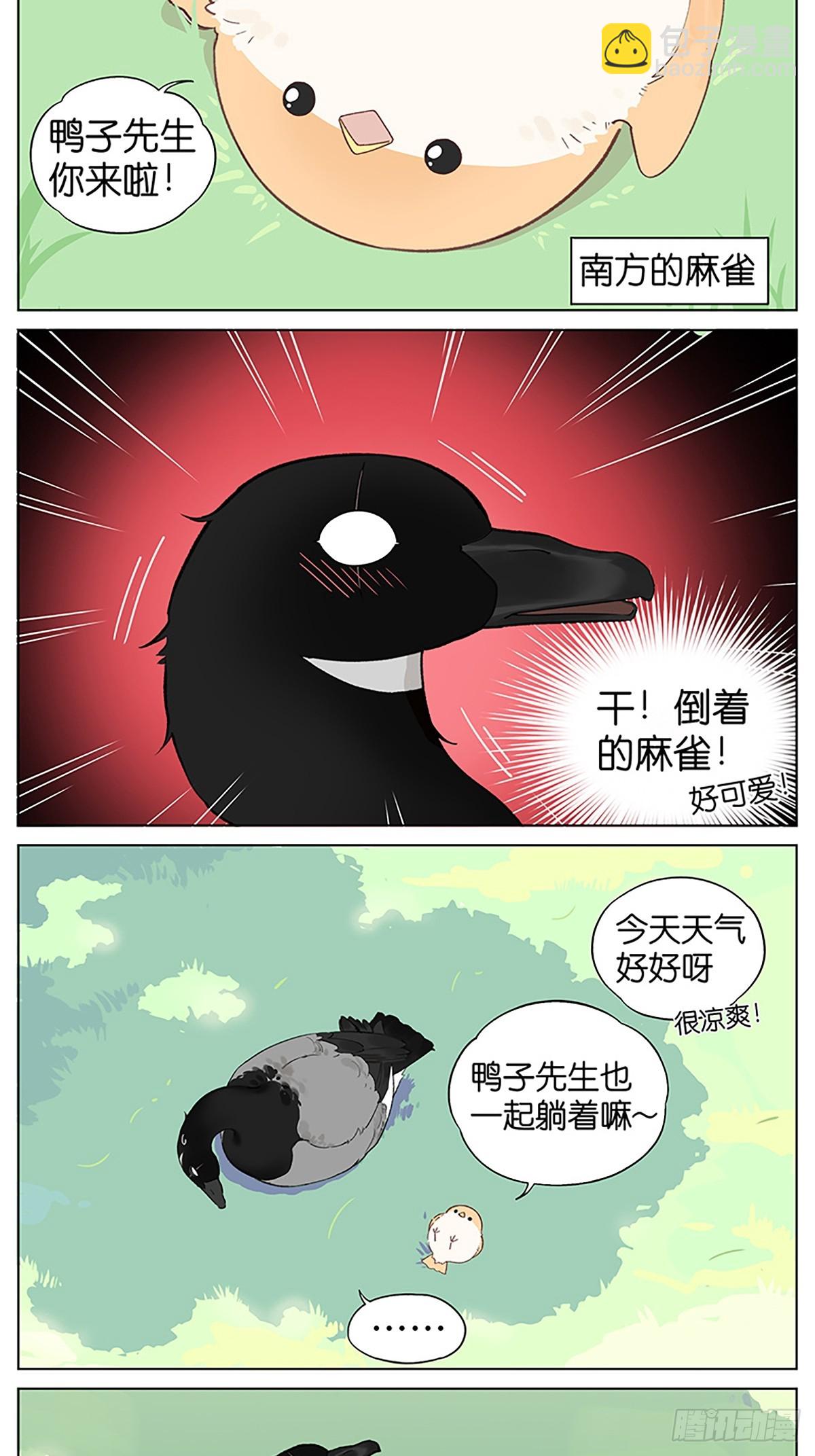 4.jpg