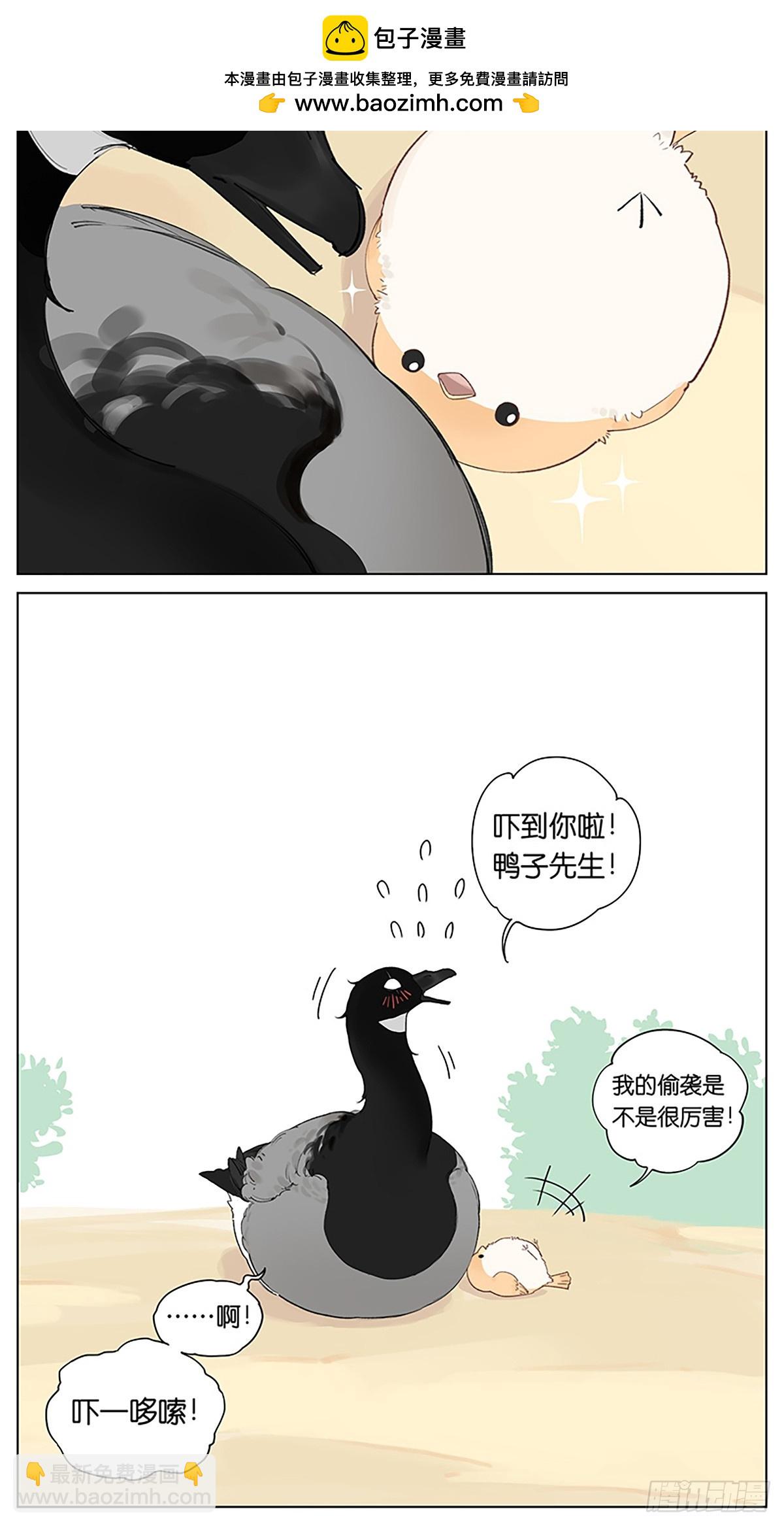 8.jpg