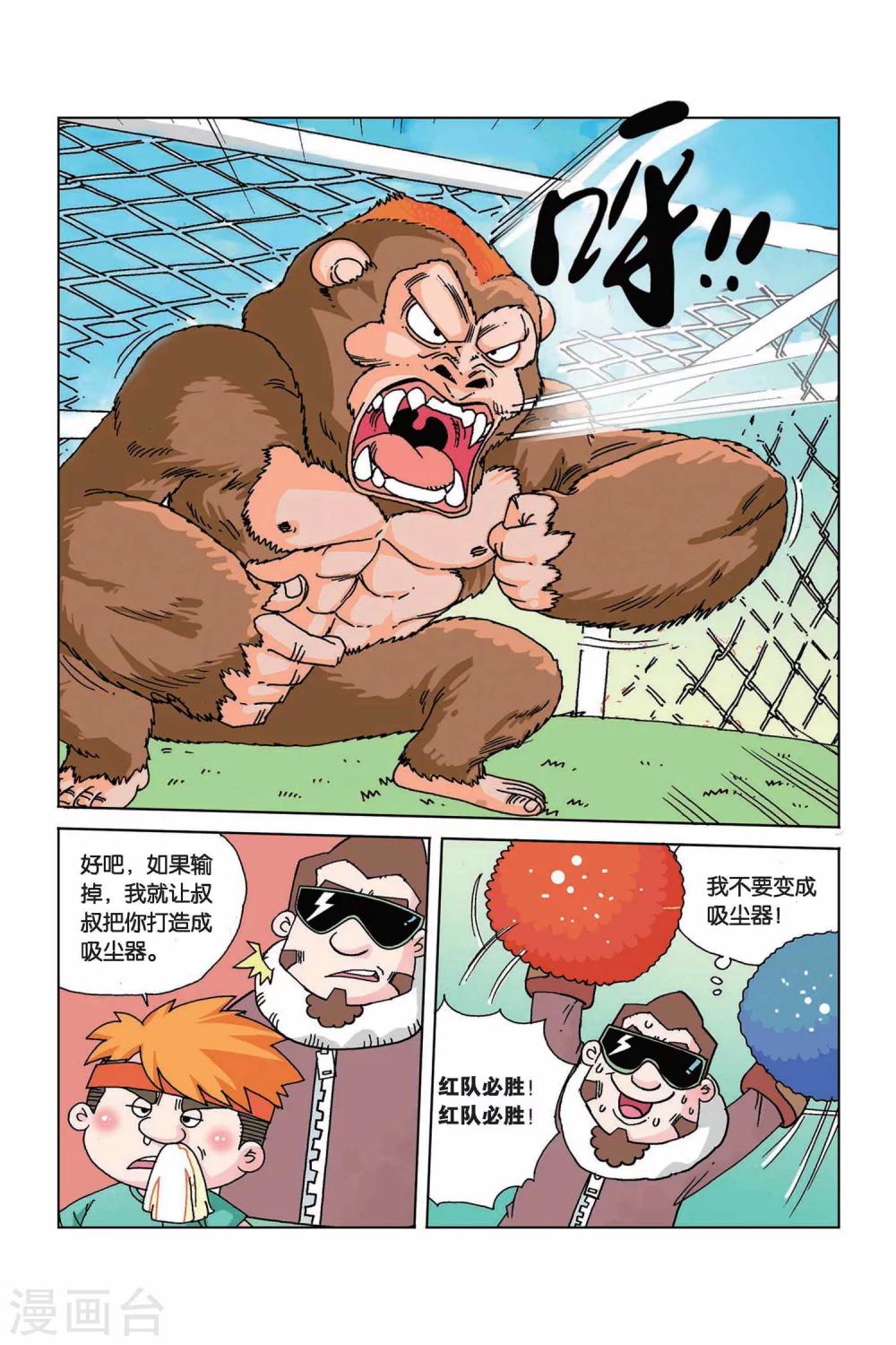 5.jpg