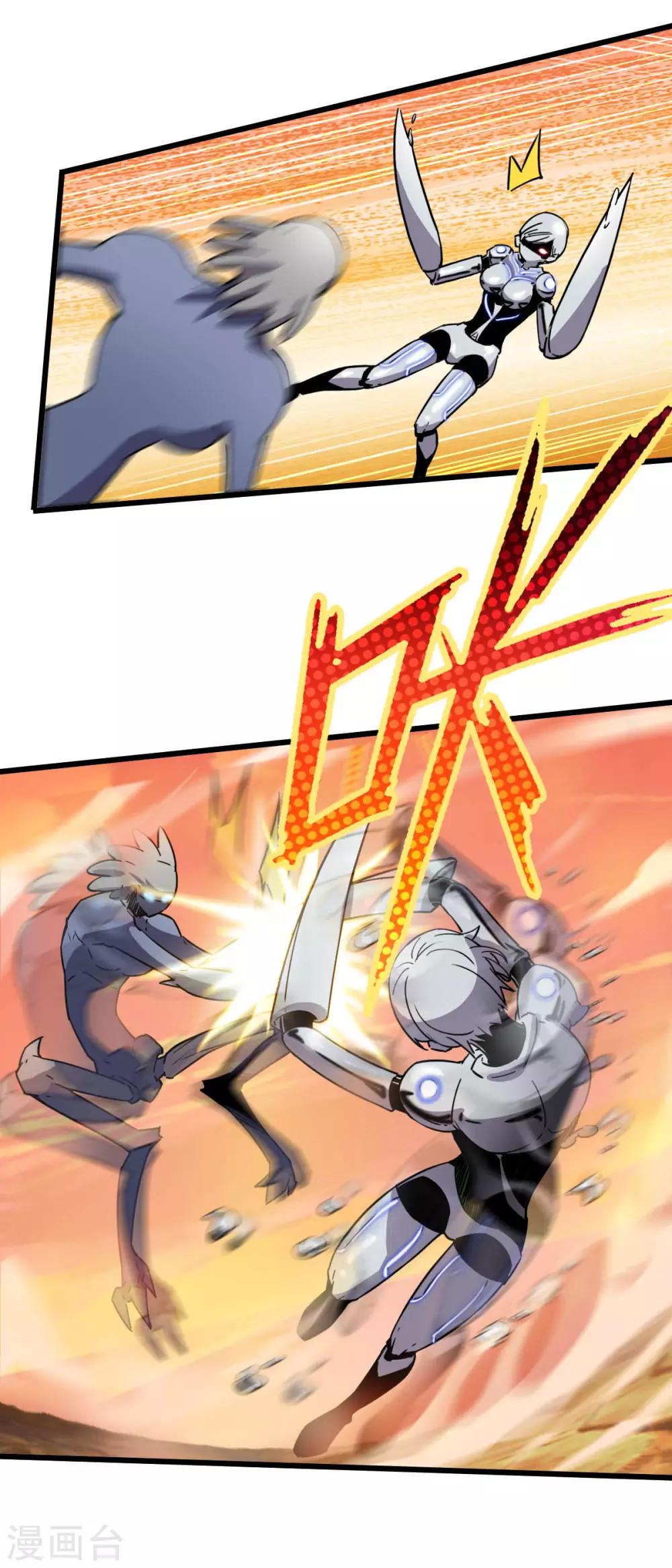 11.jpg